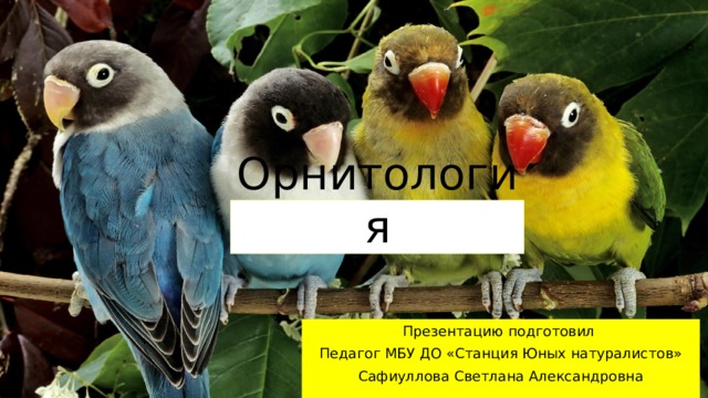 Орнитология Презентацию подготовил Педагог МБУ ДО «Станция Юных натуралистов» Сафиуллова Светлана Александровна 