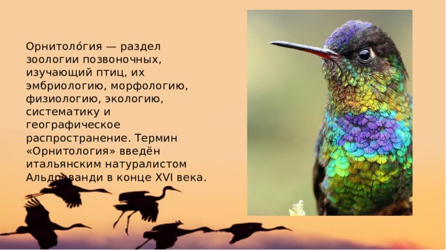 Орнитоло́гия — раздел зоологии позвоночных, изучающий птиц, их эмбриологию, морфологию, физиологию, экологию, систематику и географическое распространение. Термин «Орнитология» введён итальянским натуралистом Альдрованди в конце XVI века. 