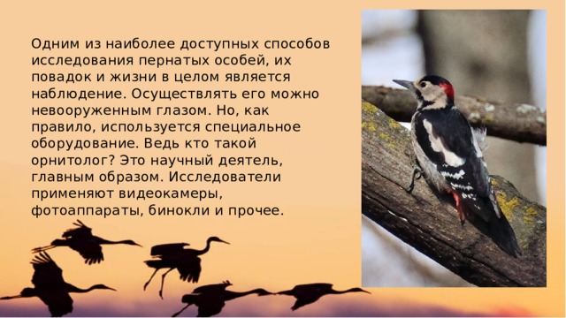 Одним из наиболее доступных способов исследования пернатых особей, их повадок и жизни в целом является наблюдение. Осуществлять его можно невооруженным глазом. Но, как правило, используется специальное оборудование. Ведь кто такой орнитолог? Это научный деятель, главным образом. Исследователи применяют видеокамеры, фотоаппараты, бинокли и прочее. 