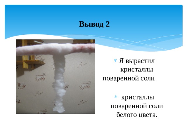 Вывод 2 Я вырастил кристаллы поваренной соли  кристаллы поваренной соли белого цвета. 