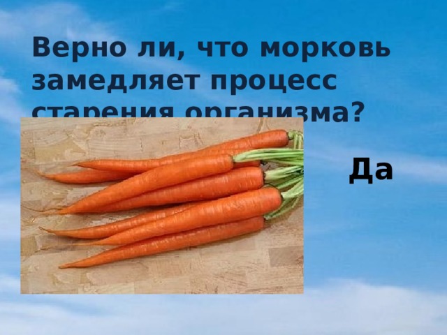 Верно ли, что морковь замедляет процесс старения организма? Да 