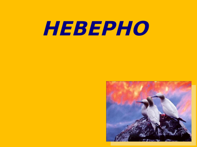 НЕВЕРНО 