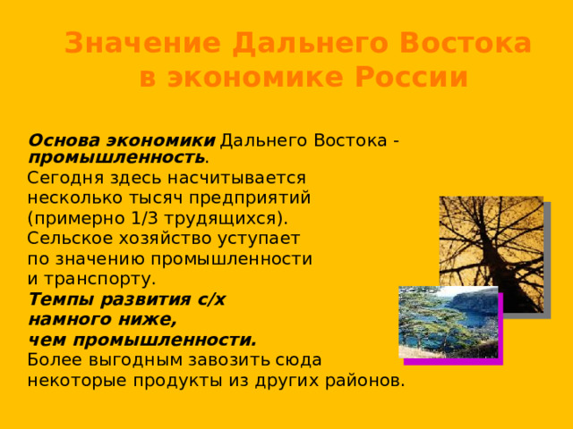 Значение Дальнего Востока в экономике России  Основа экономики Дальнего Востока - промышленность .  Сегодня здесь насчитывается  несколько тысяч предприятий  (примерно 1/3 трудящихся).   Сельское хозяйство уступает  по значению промышленности  и транспорту.  Темпы развития с/х  намного ниже,  чем промышленности.   Более выгодным завозить сюда  некоторые продукты из других районов. 