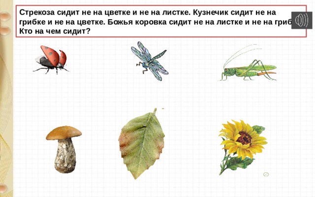 Стрекоза сидит не на цветке и не на листке. Кузнечик сидит не на грибке и не на цветке. Божья коровка сидит не на листке и не на грибке. Кто на чем сидит? 