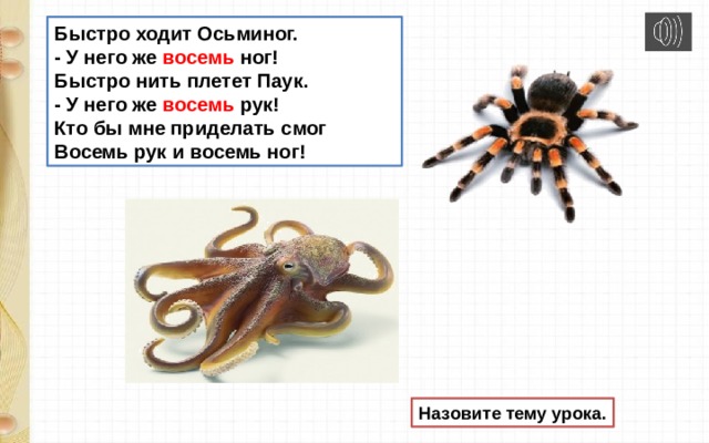 Быстро ходит Осьминог.  - У него же восемь ног!  Быстро нить плетет Паук.  - У него же восемь рук!  Кто бы мне приделать смог  Восемь рук и восемь ног! Назовите тему урока. 