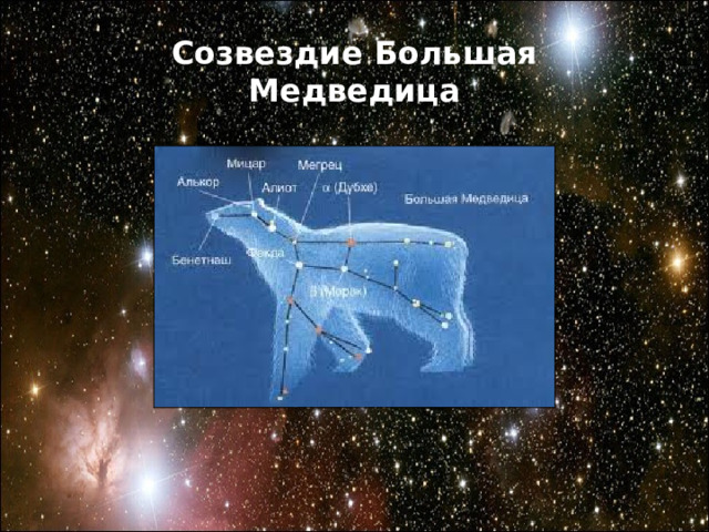 Созвездие Большая Медведица 