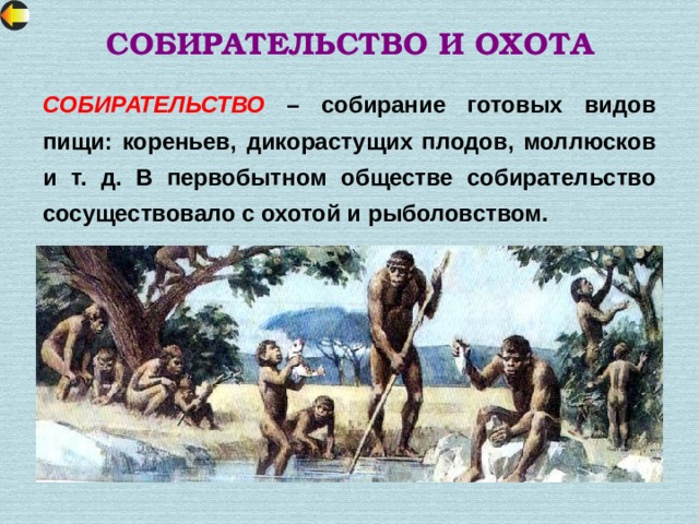 СОБИРАТЕЛЬСТВО И ОХОТА СОБИРАТЕЛЬСТВО – собирание готовых видов пищи: кореньев, дикорастущих плодов, моллюсков и т. д. В первобытном обществе собирательство сосуществовало с охотой и рыболовством. 