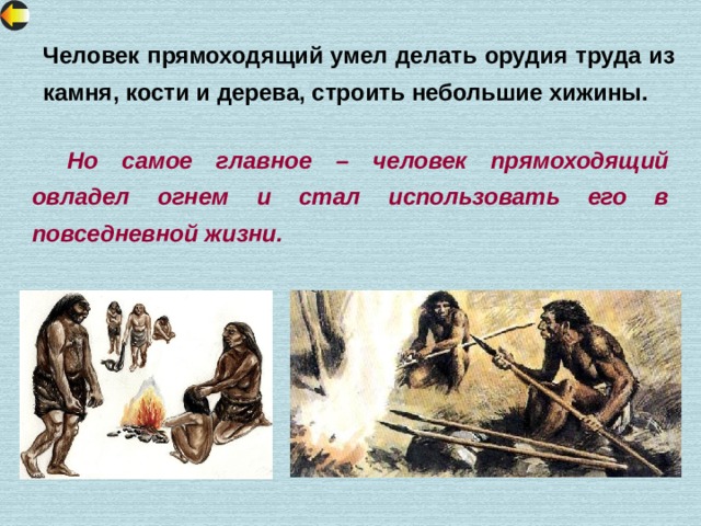 Человек прямоходящий умел делать орудия труда из камня, кости и дерева, строить небольшие хижины.  Но самое главное – человек прямоходящий овладел огнем и стал использовать его в повседневной жизни. 