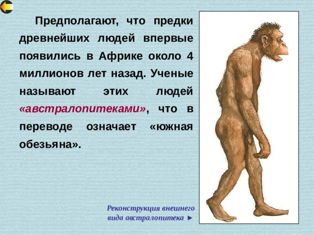  Предполагают, что предки древнейших людей впервые появились в Африке около 4 миллионов лет назад. Ученые называют этих людей «австралопитеками» , что в переводе означает «южная обезьяна». Реконструкция внешнего вида австралопитека ► 