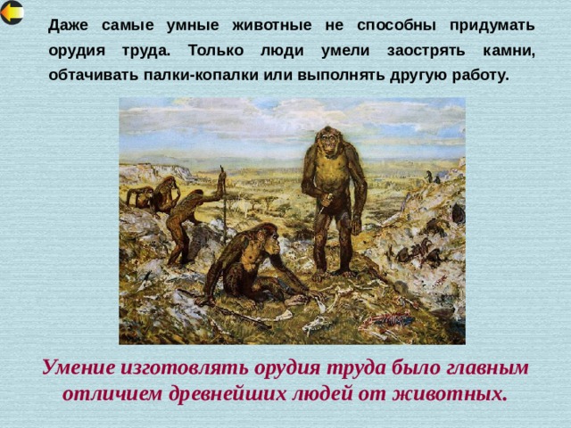 Даже самые умные животные не способны придумать орудия труда. Только люди умели заострять камни, обтачивать палки-копалки или выполнять другую работу. Умение изготовлять орудия труда было главным отличием древнейших людей от животных. 