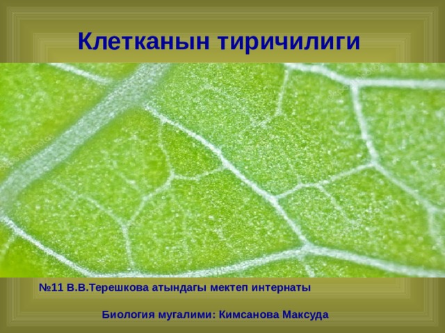 Клетканын тиричилиги № 11 В.В.Терешкова атындагы мектеп интернаты Биология мугалими: Кимсанова Максуда  