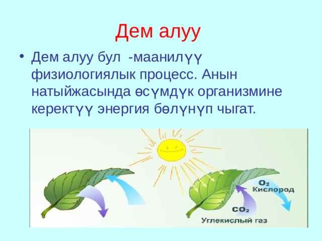 Дем алуу  Дем алуу бул -маанил үү физиологиялык процесс. Анын натыйжасында өсүмдүк организмине керектүү энергия бөлүнүп чыгат.  