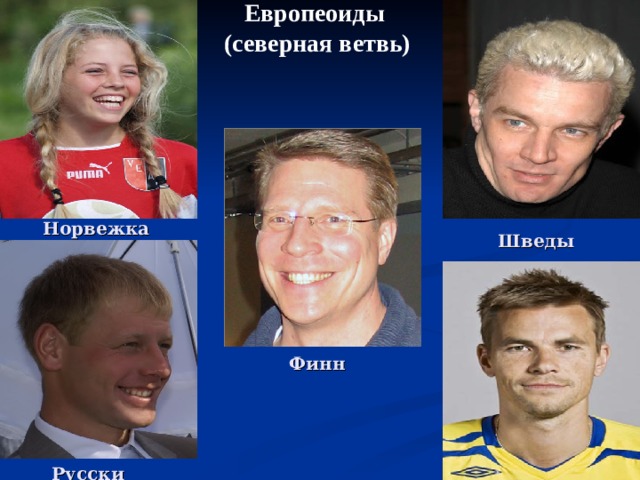 Европеоиды  (северная ветвь) Норвежка Шведы Финн Русский 