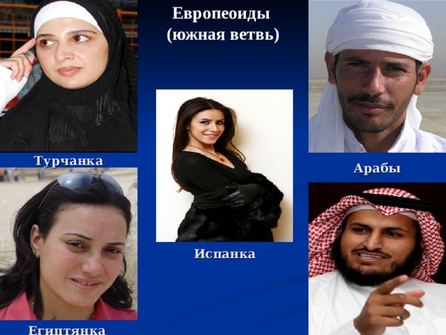 Европеоиды  (южная ветвь) Турчанка Арабы Испанка Египтянка 