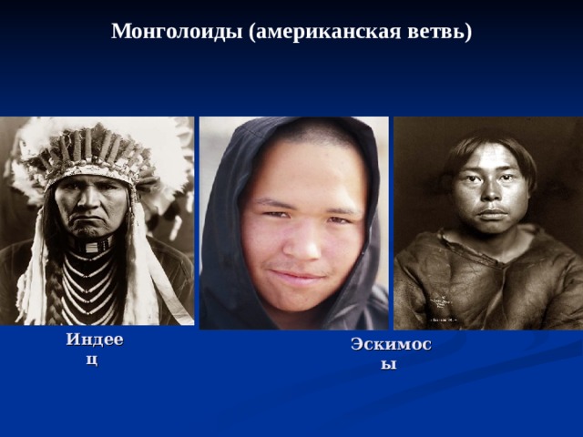 Монголоиды (американская ветвь) Индеец Эскимосы 