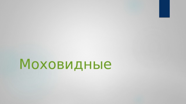 Моховидные 