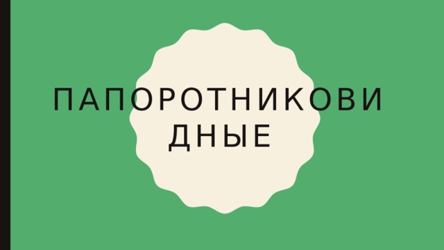 Папоротниковидные 