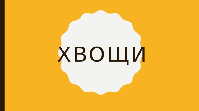 Хвощи 