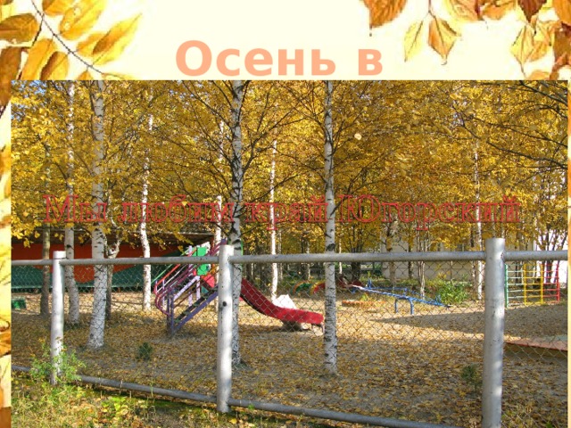 Осень в Пыть-Яхе 
