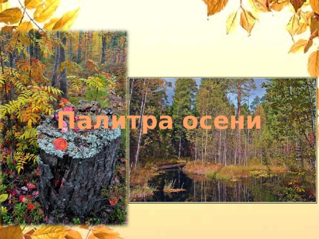 Палитра осени 