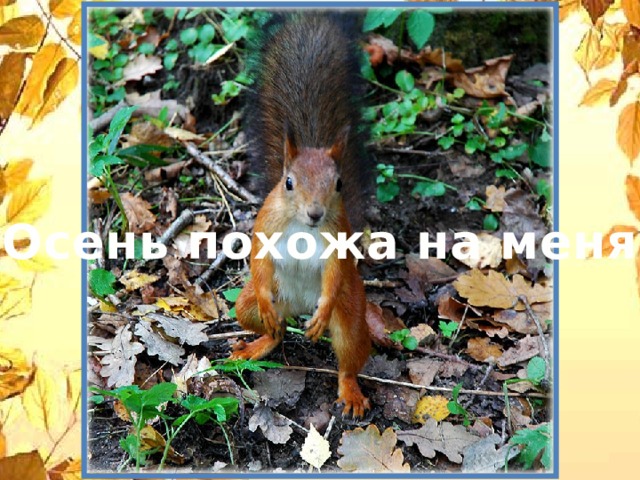 Осень похожа на меня 