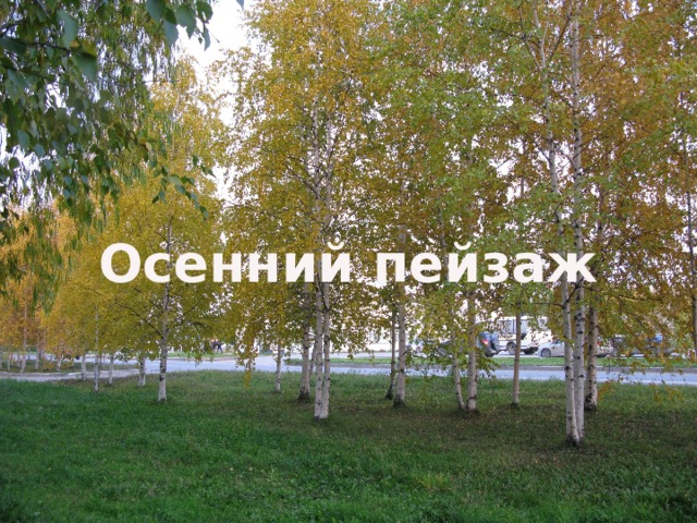 Осенний пейзаж 