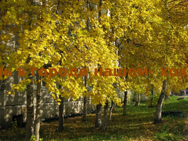 Осень в городе нашем- хозяйка 
