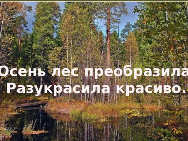 Осень лес преобразила  Разукрасила красиво. 