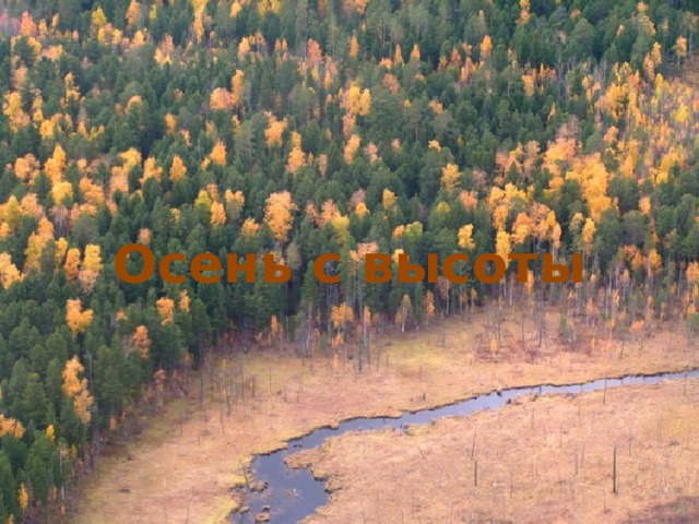 Осень с высоты 