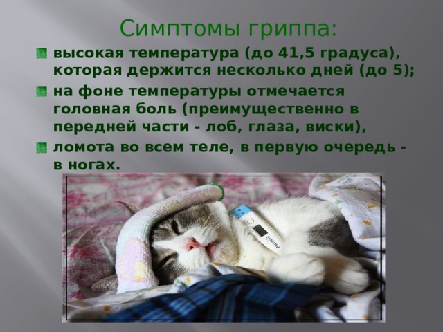 Симптомы гриппа: высокая температура (до 41,5 градуса), которая держится несколько дней (до 5); на фоне температуры отмечается головная боль (преимущественно в передней части - лоб, глаза, виски), ломота во всем теле, в первую очередь - в ногах. 