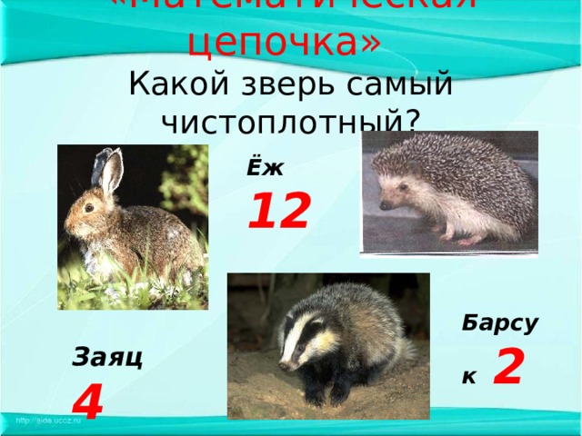 «Математическая цепочка»  Какой зверь самый чистоплотный? Ёж 12 Барсук 2 Заяц 4 