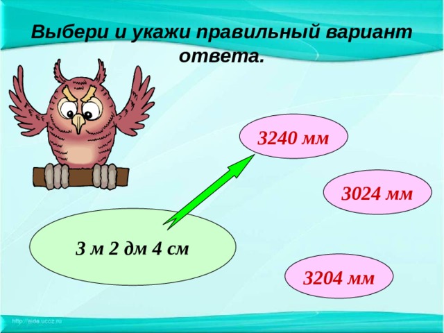 Выбери и укажи правильный вариант ответа. 3240 мм 3024 мм 3 м 2 дм 4 см 3204 мм 