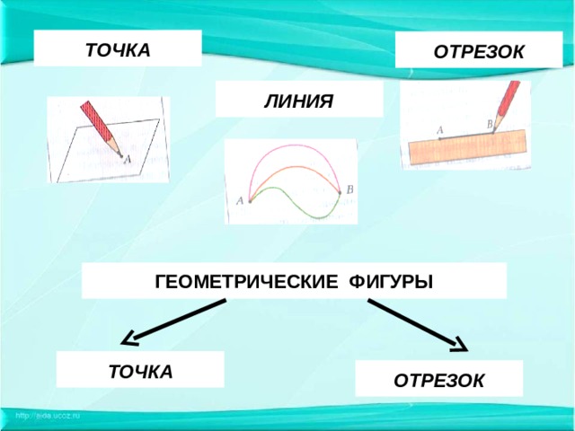    ТОЧКА   ОТРЕЗОК    ЛИНИЯ   ГЕОМЕТРИЧЕСКИЕ ФИГУРЫ       ТОЧКА    ОТРЕЗОК 