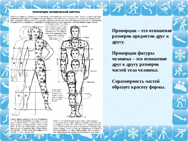 Пропорции – это отношение размеров предметов друг к другу.  Пропорции фигуры человека – это отношение друг к другу размеров частей тела человека.  Соразмерность частей образует красоту формы.   