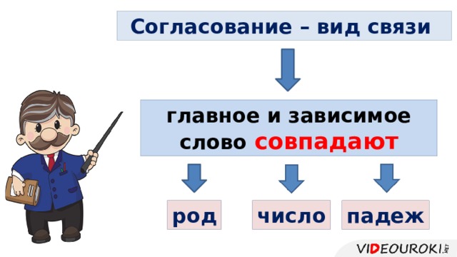 Согласование – вид связи главное и зависимое слово совпадают род число падеж 
