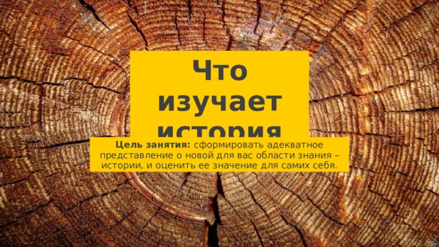 Что изучает история Цель занятия: сформировать адекватное представление о новой для вас области знания – истории, и оценить ее значение для самих себя. 