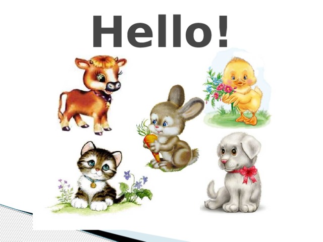Hello! 