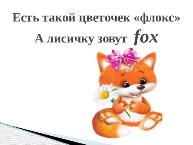 Есть такой цветочек «флокс»  А лисичку зовут fox   
