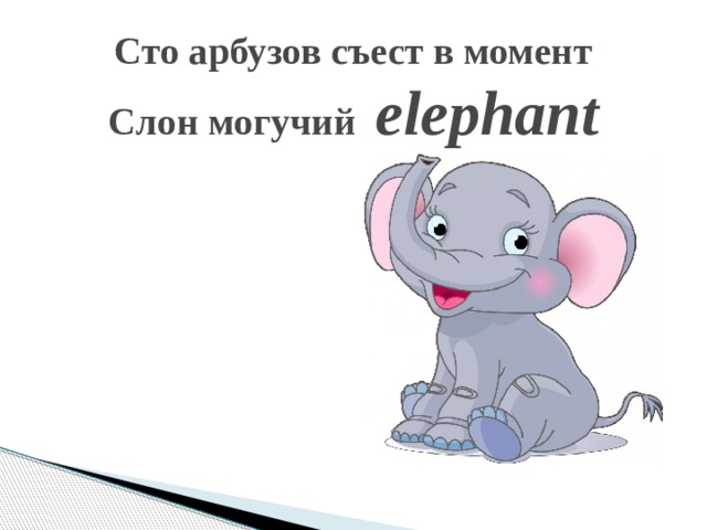 Сто арбузов съест в момент  Слон могучий  elephant   