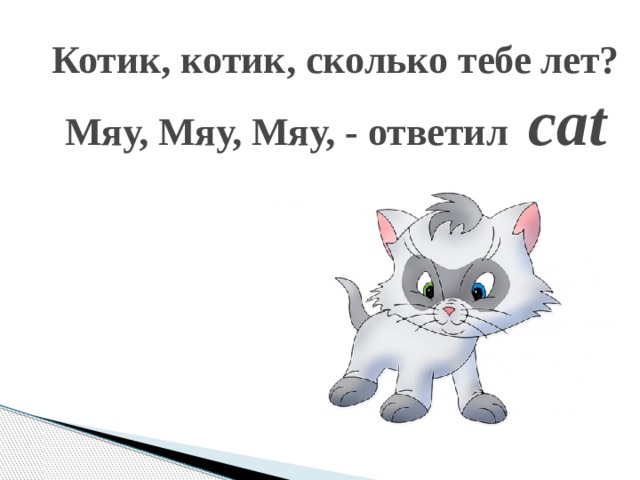 Котик, котик, сколько тебе лет?  Мяу, Мяу, Мяу, - ответил cat 