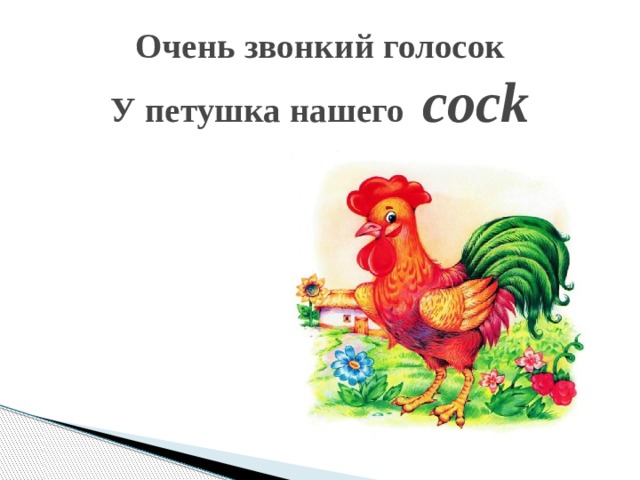 Очень звонкий голосок  У петушка нашего cock   