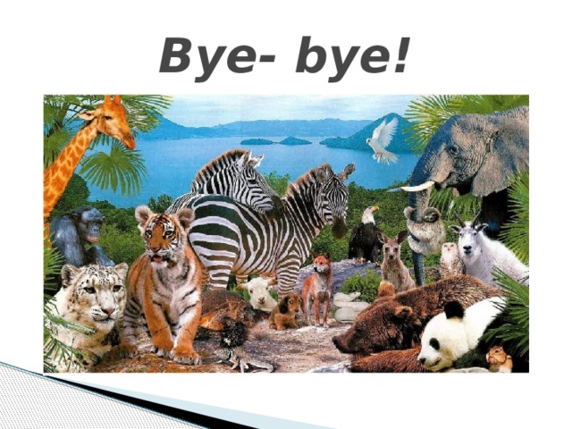 Bye- bye! 