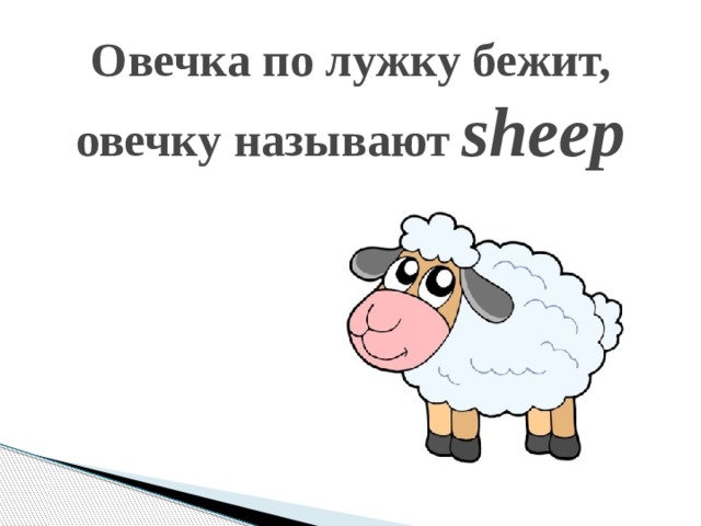 Овечка по лужку бежит, овечку называют sheep   