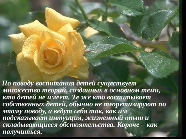  По поводу воспитания детей существует множество теорий, созданных в основном теми, кто детей не имеет. Те же кто воспитывает собственных детей, обычно не теоретизируют по этому поводу, а ведут себя так, как им подсказывает интуиция, жизненный опыт и складывающиеся обстоятельства. Короче – как получиться. 