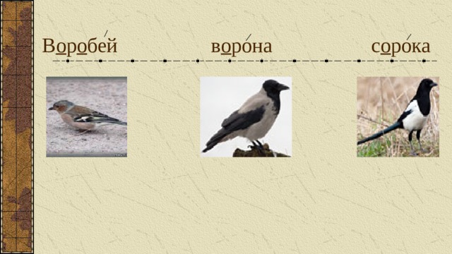 В о р о бей в о рона с о рока 