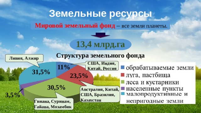 Земельные ресурсы Мировой земельный фонд – все земли планеты. 13,4 млрд.га Структура земельного фонда Ливия, Алжир США, Индия, Китай, Россия 11% 31,5% 23,5% 30,5% Австралия, Китай, США, Бразилия, Казахстан 3,5% Гвиана, Суринам, Гайана, Мозамбик 