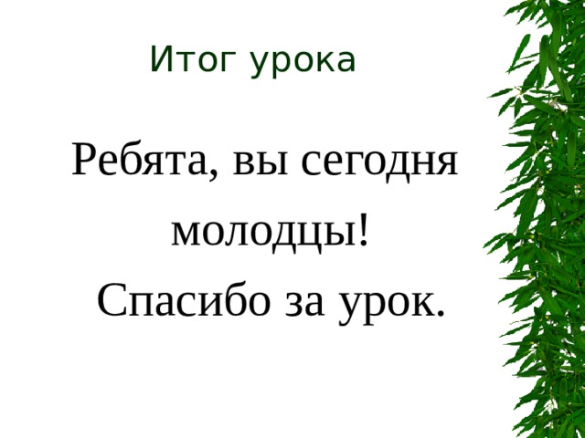 Итог урока Ребята, вы сегодня молодцы! Спасибо за урок. 