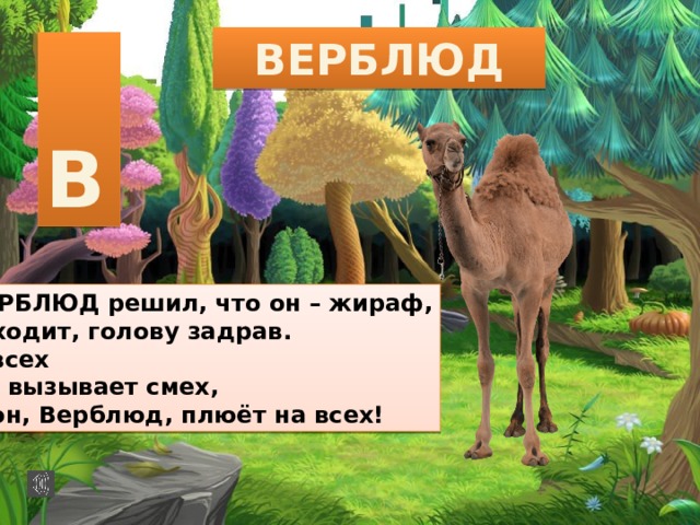 ВЕРБЛЮД  В ВЕРБЛЮД решил, что он – жираф, И ходит, голову задрав. У всех Он вызывает смех, А он, Верблюд, плюёт на всех! 