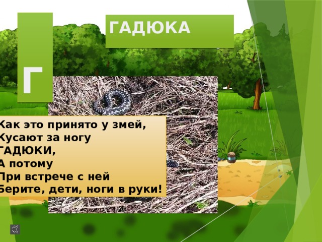  Г ГАДЮКА Как это принято у змей, Кусают за ногу ГАДЮКИ, А потому При встрече с ней Берите, дети, ноги в руки! 