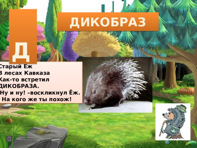  Д ДИКОБРАЗ Старый Ёж В лесах Кавказа Как-то встретил ДИКОБРАЗА. Ну и ну! –воскликнул Ёж.  На кого же ты похож! 